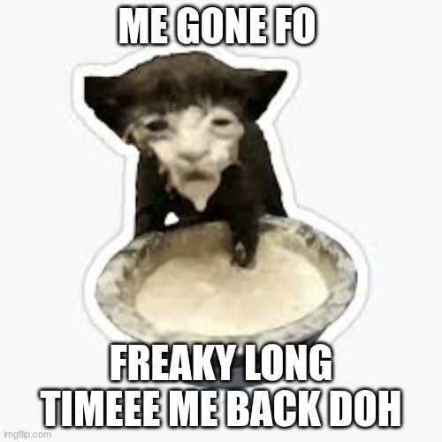 much gatorade (mah adhd ahh self) | me gone fo; freaky long timeee me back doh | image tagged in bruh | made w/ Imgflip meme maker
