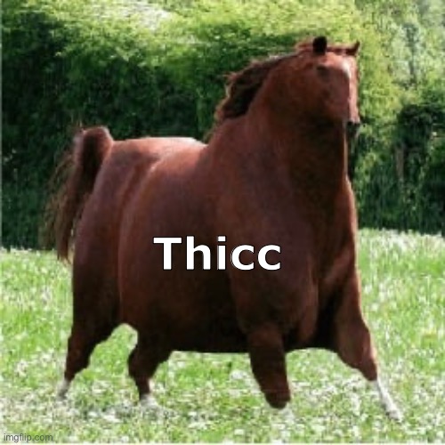 Coming to Papa lol | Thicc | image tagged in horse,thicc,memes,lol | made w/ Imgflip meme maker