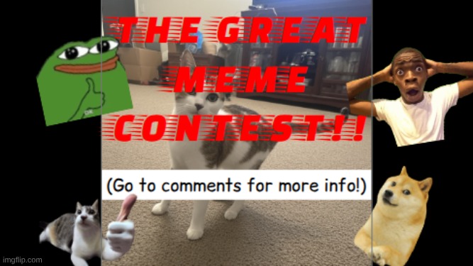 ITS THE MEME CONTEST!!! | image tagged in meme contest,funny,new,good memes,memes,popular | made w/ Imgflip meme maker