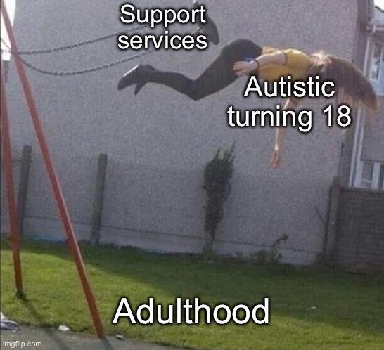 Support Services Be Like | Support services; Autistic turning 18; Adulthood | image tagged in swing,autism,adulting,support | made w/ Imgflip meme maker