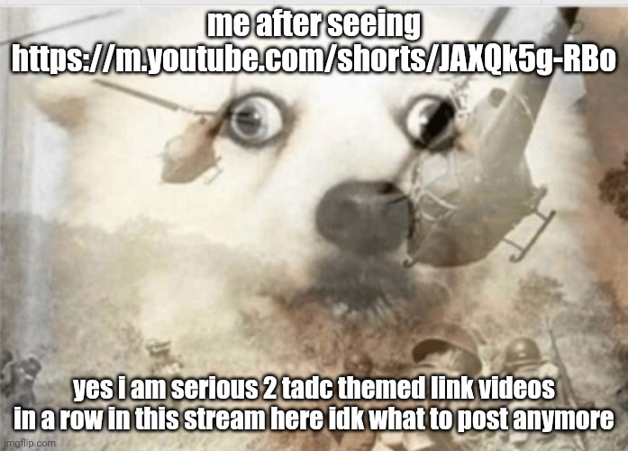if you want visit https://m.youtube.com/shorts/JAXQk5g-RBo | me after seeing https://m.youtube.com/shorts/JAXQk5g-RBo; yes i am serious 2 tadc themed link videos in a row in this stream here idk what to post anymore | image tagged in ptsd dog,tadc,the amazing digital circus,what can i say except aaaaaaaaaaa,the voices are getting louder | made w/ Imgflip meme maker