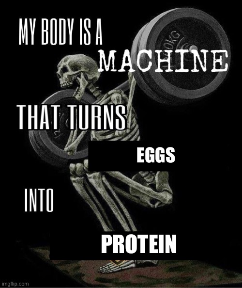 I <3 eggs | Eggs; Protein | image tagged in my body is machine | made w/ Imgflip meme maker