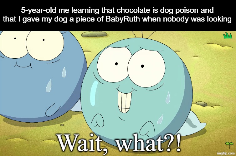 Welp I'm going to jail | 5-year-old me learning that chocolate is dog poison and that I gave my dog a piece of BabyRuth when nobody was looking; Wait, what?! | image tagged in memes,funny,cartoon,dogs | made w/ Imgflip meme maker