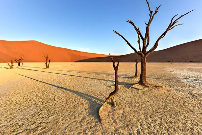desert Blank Meme Template