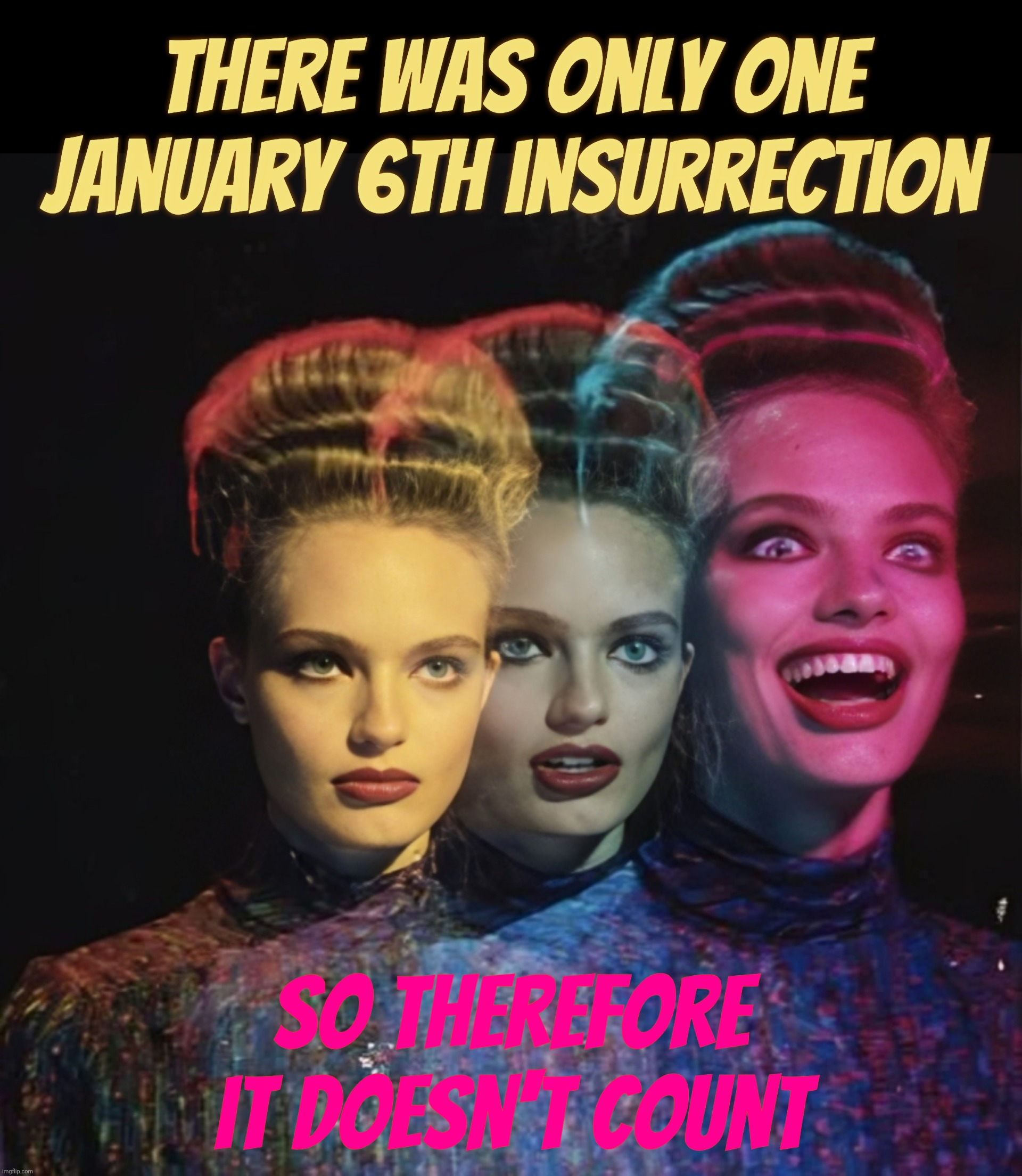 MAGA whataboutism says that there was only one January 6th insurrection but tons of BLM riots,  therefore January 6th wasn't bad | There was only one January 6th insurrection; So therefore it doesn't count | image tagged in hardy har har ii | made w/ Imgflip meme maker