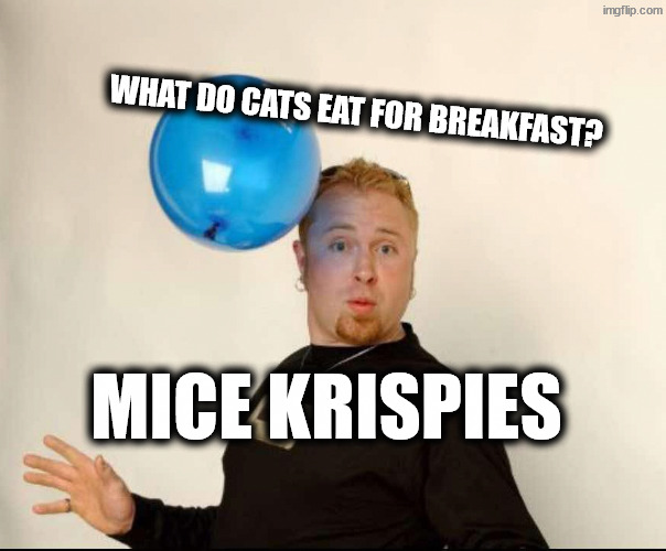 Kitty litter chocolate crackles. | What do cats eat for breakfast? Mice Krispies | image tagged in balloon man | made w/ Imgflip meme maker