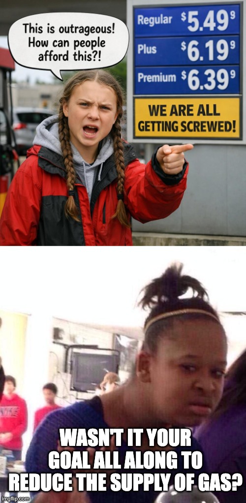 Supply and Demand | Wasn't it your goal all along to reduce the supply of gas? | image tagged in greta thunberg complaining about gas prices,memes,black girl wat | made w/ Imgflip meme maker