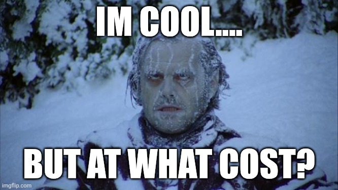 . | Im cool.... But at what cost? | image tagged in cold | made w/ Imgflip meme maker