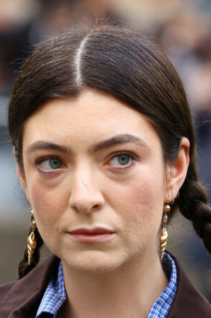 Lorde Blank Meme Template