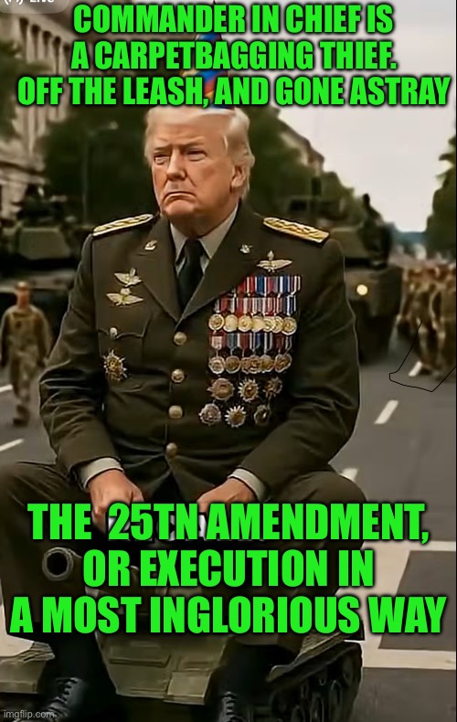Commander in chief is a carpetbagging thief. Off the leash, and gone astray; The  25tn amendment, or execution in a most inglorious way | made w/ Imgflip meme maker