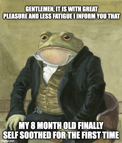 Gentleman frog | gentlemen, it is with great pleasure and less fatigue i inform you that; my 8 month old finally self soothed for the first time | image tagged in gentleman frog | made w/ Imgflip meme maker