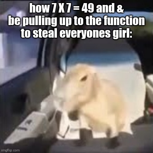 i just said and and | how 7 X 7 = 49 and & be pulling up to the function to steal everyones girl: | image tagged in ok i pull up capybara | made w/ Imgflip meme maker