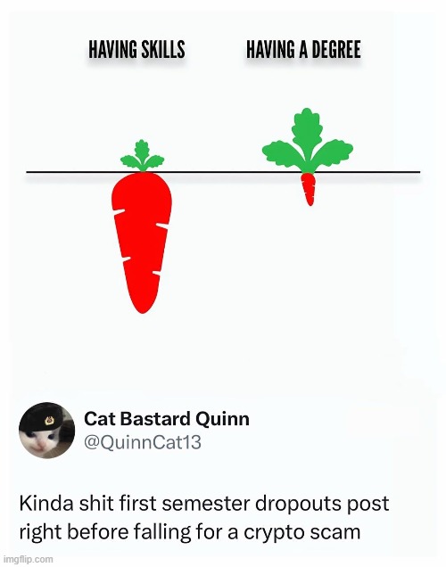 image tagged in carrots,first,semester,dropout,crypto,scam | made w/ Imgflip meme maker