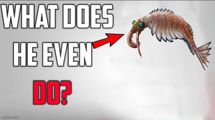 He does his best | image tagged in what does he even do blank template,memes,anomalocaris,funny,humor,lol | made w/ Imgflip meme maker