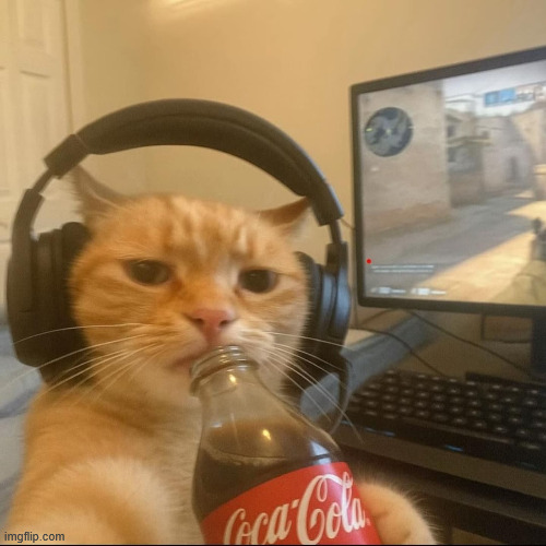 cat car coke cs counterstrike headphone | image tagged in cat car coke cs counterstrike headphone | made w/ Imgflip meme maker