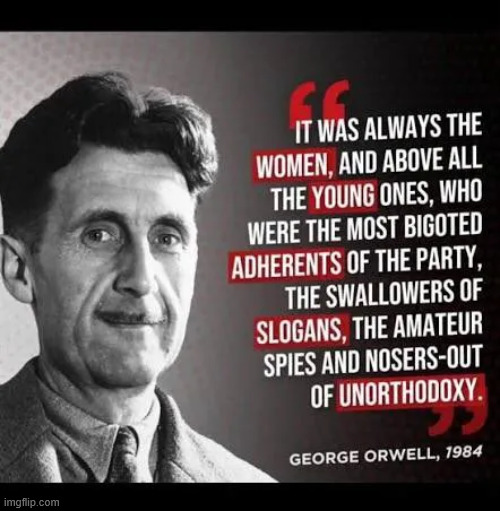 AWFUL - Affluent White Female Urban Liberal | image tagged in political,reposts,george orwell,awful | made w/ Imgflip meme maker