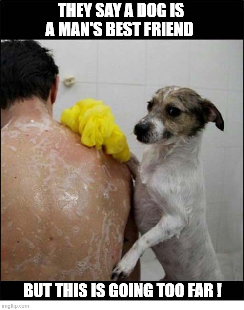 Why Am I Doing This ? | They Say A Dog Is A Man's Best Friend; But this is going too far ! | image tagged in dogs,shower,scrubbing,owner | made w/ Imgflip meme maker