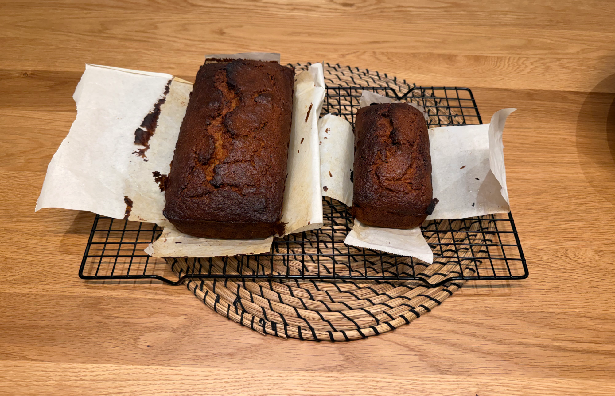 Suntan Blank Meme Template