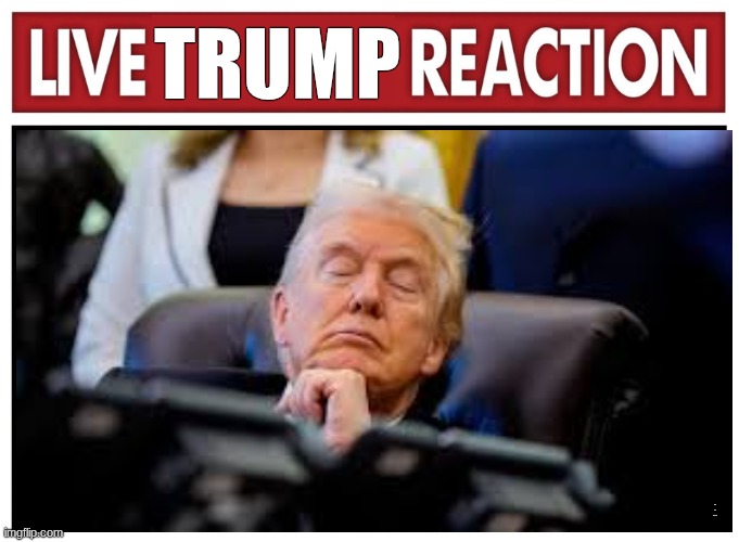 Not trying to be political i thought it was funny | Trump; Honk shoo honk shoo | image tagged in live reaction | made w/ Imgflip meme maker