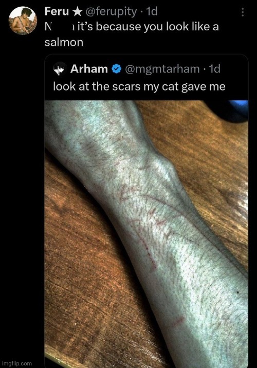 Tf zap doing | made w/ Imgflip meme maker