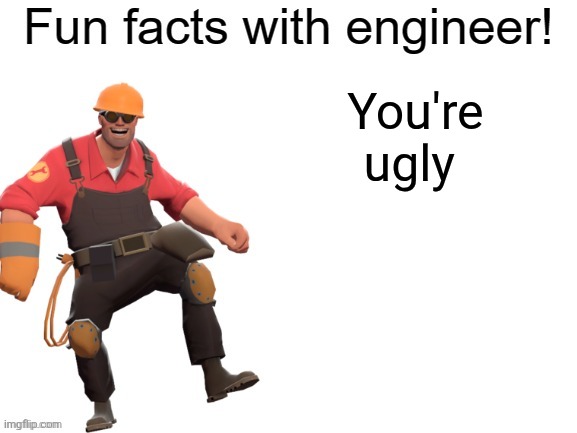 Fun facts With Engineer! | You're ugly | image tagged in fun facts with engineer | made w/ Imgflip meme maker