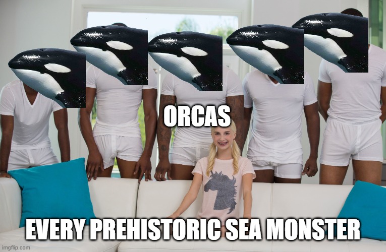 Orcas are OP. | Orcas; Every prehistoric sea monster | image tagged in 5 black guys and blonde | made w/ Imgflip meme maker
