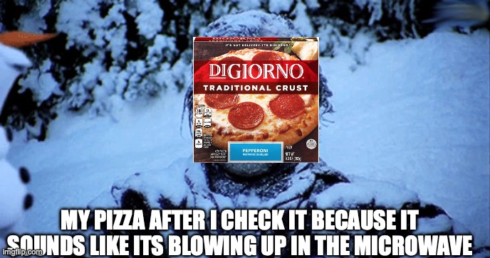 [insert creative and humorous title] | my pizza after I check it because it sounds like its blowing up in the microwave | image tagged in freezing cold | made w/ Imgflip meme maker