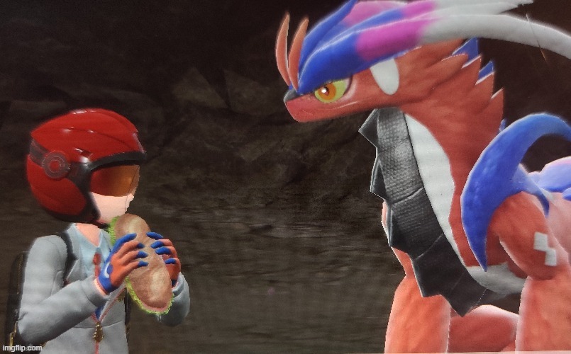 Koraidon sandwich | image tagged in koraidon sandwich | made w/ Imgflip meme maker