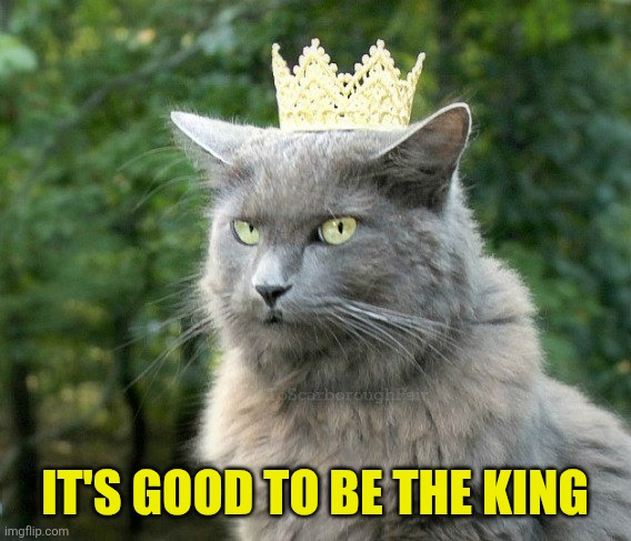 Cat with crown | It's good to be the king | image tagged in cat with crown | made w/ Imgflip meme maker