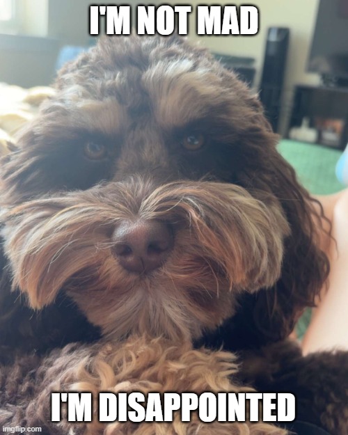 I'm not mad | I'm not mad; I'm disappointed | image tagged in img_4557 jpg | made w/ Imgflip meme maker