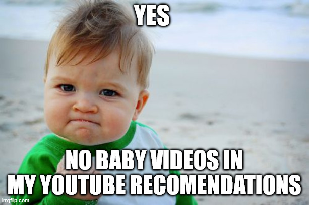 stuck it to youtube algorithim | yes; no baby videos in my youtube recomendations | image tagged in memes,success kid original | made w/ Imgflip meme maker