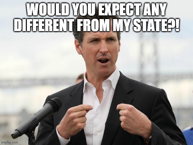 gavin newsome | would you expect any different from my state?! | image tagged in gavin newsome | made w/ Imgflip meme maker