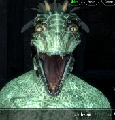 MY ACTUAL REACTION Blank Meme Template