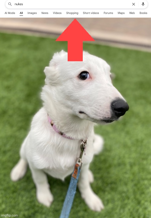 Dude why are people selling nukes | image tagged in side eye puppy | made w/ Imgflip meme maker