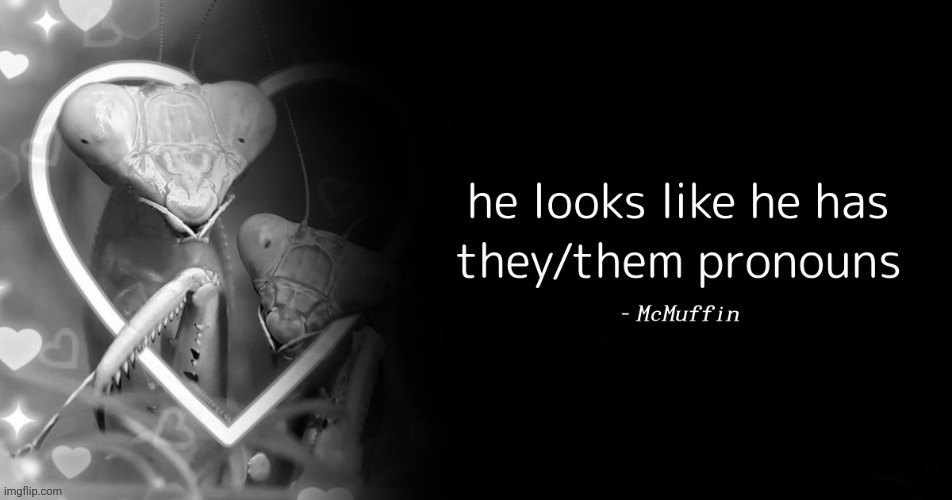 he looks like he has they/them pronouns | image tagged in he looks like he has they/them pronouns | made w/ Imgflip meme maker