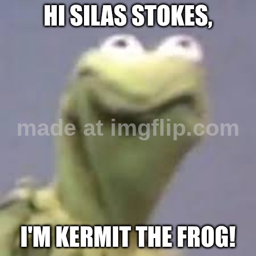 kermit is not happy | Hi Silas Stokes, I'm Kermit the frog! | image tagged in kermit is not happy | made w/ Imgflip meme maker