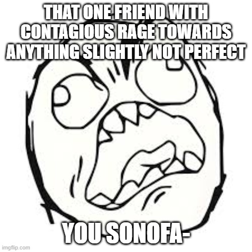 That one friend who has major crashout | That one friend with contagious rage towards anything slightly not perfect; YOU SONOFA- | image tagged in gamer rage | made w/ Imgflip meme maker