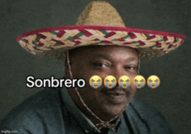 sonbrero | image tagged in sonbrero | made w/ Imgflip meme maker