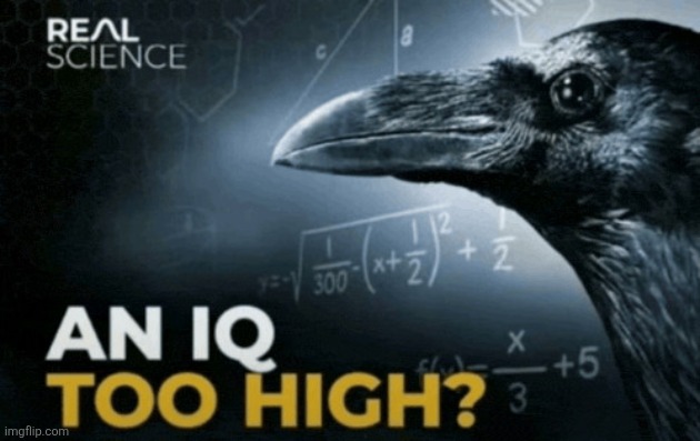 an-iq-too-high.gif | image tagged in an-iq-too-high gif | made w/ Imgflip meme maker