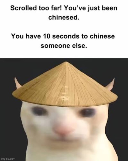 image tagged in memes | made w/ Imgflip meme maker