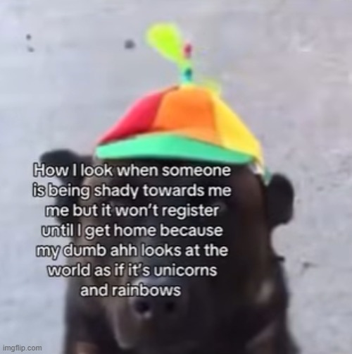 made w/ Imgflip meme maker