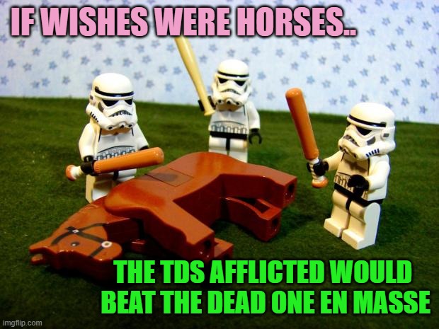 Beating a dead horse | If wishes were horses.. the TDS afflicted would 
beat the dead one en masse | image tagged in beating a dead horse | made w/ Imgflip meme maker