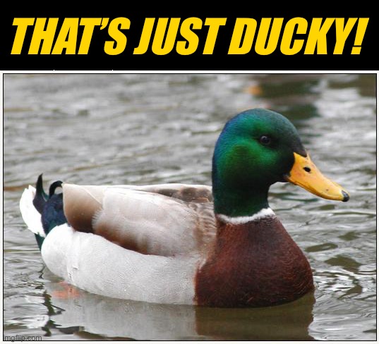 Actual Advice Mallard Meme | That’s just ducky! | image tagged in memes,actual advice mallard | made w/ Imgflip meme maker