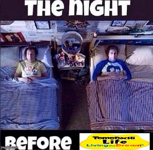 the night before peak! | image tagged in meme,tomodachilfe,living the dream,true,relatable | made w/ Imgflip meme maker