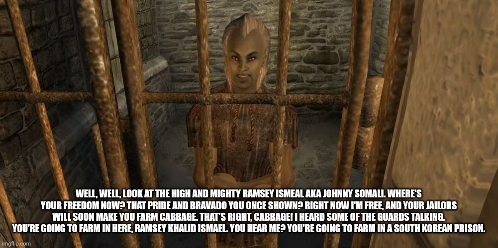 Enjoy prison Ramsey | WELL, WELL, LOOK AT THE HIGH AND MIGHTY RAMSEY ISMEAL AKA JOHNNY SOMALI. WHERE'S YOUR FREEDOM NOW? THAT PRIDE AND BRAVADO YOU ONCE SHOWN? RIGHT NOW I'M FREE, AND YOUR JAILORS WILL SOON MAKE YOU FARM CABBAGE. THAT'S RIGHT, CABBAGE! I HEARD SOME OF THE GUARDS TALKING. YOU'RE GOING TO FARM IN HERE, RAMSEY KHALID ISMAEL. YOU HEAR ME? YOU'RE GOING TO FARM IN A SOUTH KOREAN PRISON. | image tagged in you're going to die here,remix,south korea,prison,prison bars | made w/ Imgflip meme maker