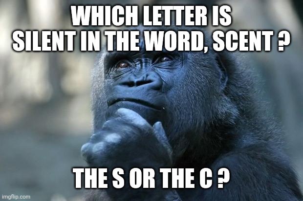 Deep Thoughts | Which letter is silent in the word, scent ? The s or the c ? | image tagged in deep thoughts | made w/ Imgflip meme maker