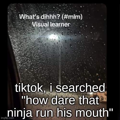 1738 aye | tiktok, i searched "how dare that ninja run his mouth" | made w/ Imgflip meme maker
