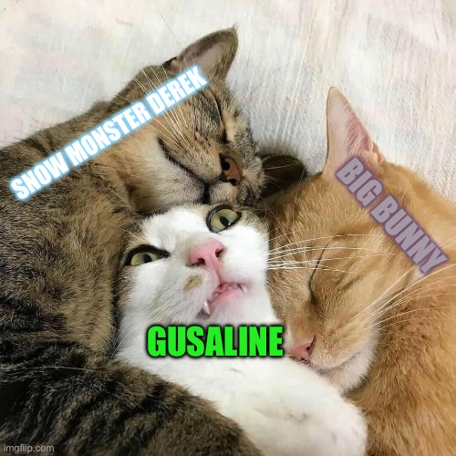 Hehe | Snow monster Derek; Big Bunny; Gusaline | image tagged in cats | made w/ Imgflip meme maker