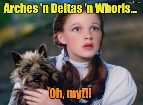 Toto Wizard of Oz | Arches 'n Deltas 'n Whorls... Oh, my!!! | image tagged in toto wizard of oz | made w/ Imgflip meme maker