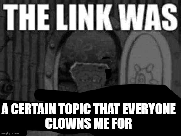 The link was bowser fart | A CERTAIN TOPIC THAT EVERYONE
CLOWNS ME FOR | image tagged in the link was bowser fart | made w/ Imgflip meme maker